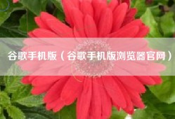 谷歌手机版（谷歌手机版浏览器官网）