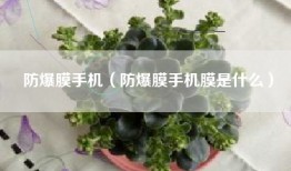 防爆膜手机（防爆膜手机膜是什么）