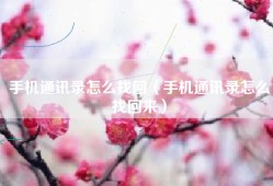 手机通讯录怎么找回（手机通讯录怎么找回来）