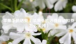 苹果手机话费（苹果手机话费自动扣费怎么关闭）