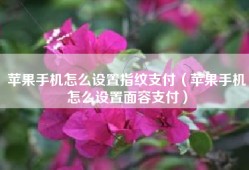 苹果手机怎么设置指纹支付（苹果手机怎么设置面容支付）