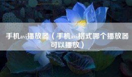 手机avi播放器（手机avi格式哪个播放器可以播放）