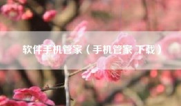 软件手机管家（手机管家 下载）