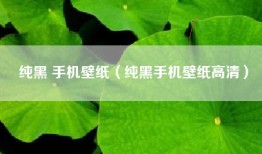 纯黑 手机壁纸（纯黑手机壁纸高清）