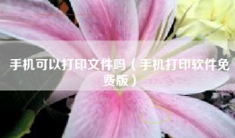 手机可以打印文件吗（手机打印软件免费版）