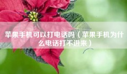 苹果手机可以打电话吗（苹果手机为什么电话打不进来）