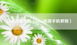 hdmi连接手机（hdmi连接手机教程）