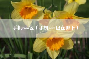 手机rom包（手机rom包在哪下）