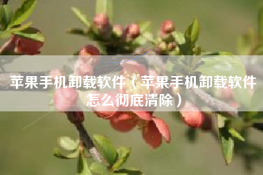 苹果手机卸载软件（苹果手机卸载软件怎么彻底清除）