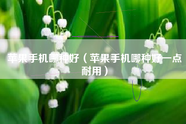 苹果手机哪种好（苹果手机哪种好一点耐用）