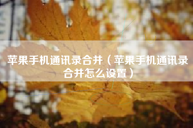 苹果手机通讯录合并（苹果手机通讯录合并怎么设置）