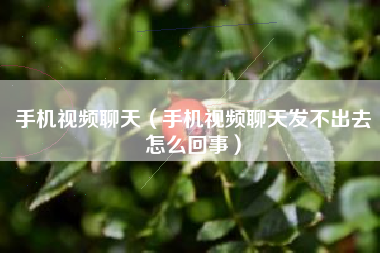 手机视频聊天（手机视频聊天发不出去怎么回事）