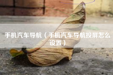 手机汽车导航（手机汽车导航投屏怎么设置）