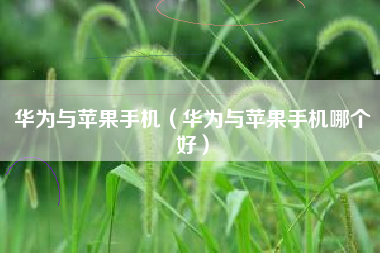 华为与苹果手机（华为与苹果手机哪个好）