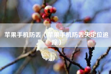 苹果手机防丢（苹果手机防丢失定位追踪）