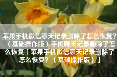 苹果手机微信聊天记录删除了怎么恢复？（基础操作版）手机聊天记录删除了怎么恢复「苹果手机微信聊天记录删除了怎么恢复？（基础操作版）」